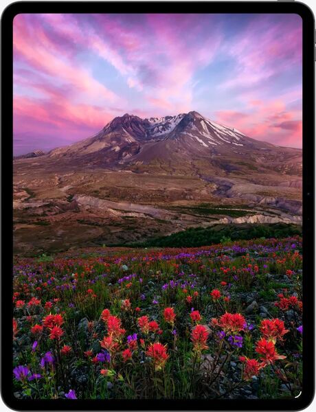 iPad Pro (2025) | 11" | 9-Core CPU | 12 GB | 256 GB | Space Black | Standard glass | 5G 3