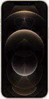 iPhone 12 Pro Max (2020)