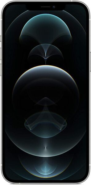 iPhone 12 Pro Max | 256 GB | zilver | nieuwe batterij