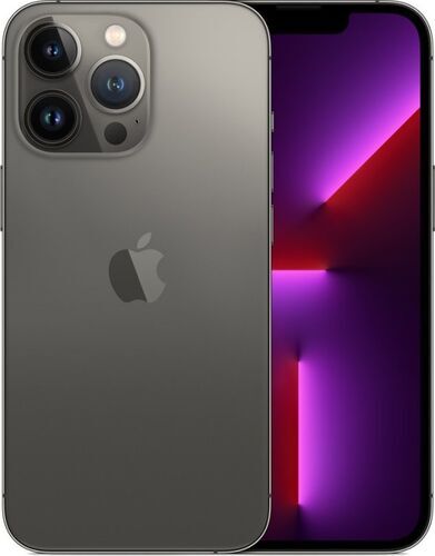 iPhone 13 Pro | 512 GB | Dual-SIM | gray