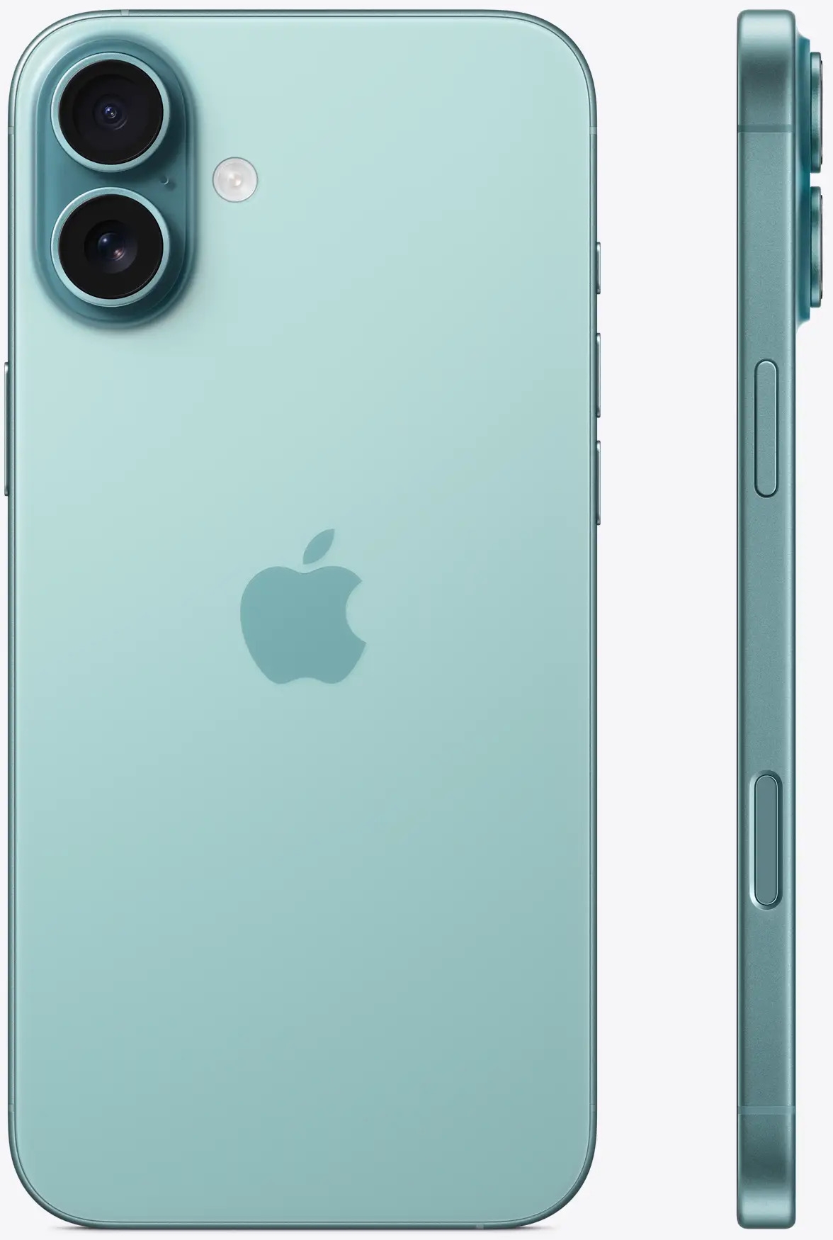 iPhone 16 Plus | 128 GB | Dual-SIM | berylowa zieleń | 3 181 zł