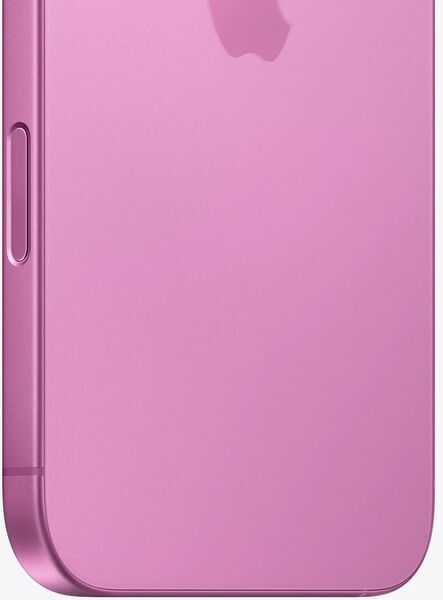 iPhone 16 Plus | 256 GB | Dual-SIM | rose 4