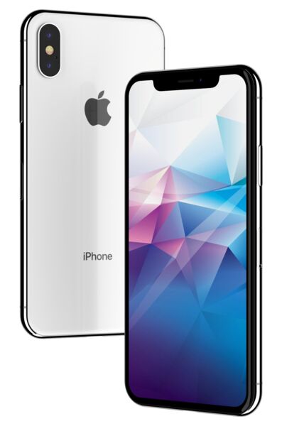 iPhone X | 256 GB | silver | new battery