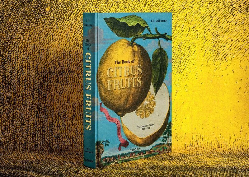 J. C. Volkamer. The Book of Citrus Fruits | Weiß, image 1 of 4