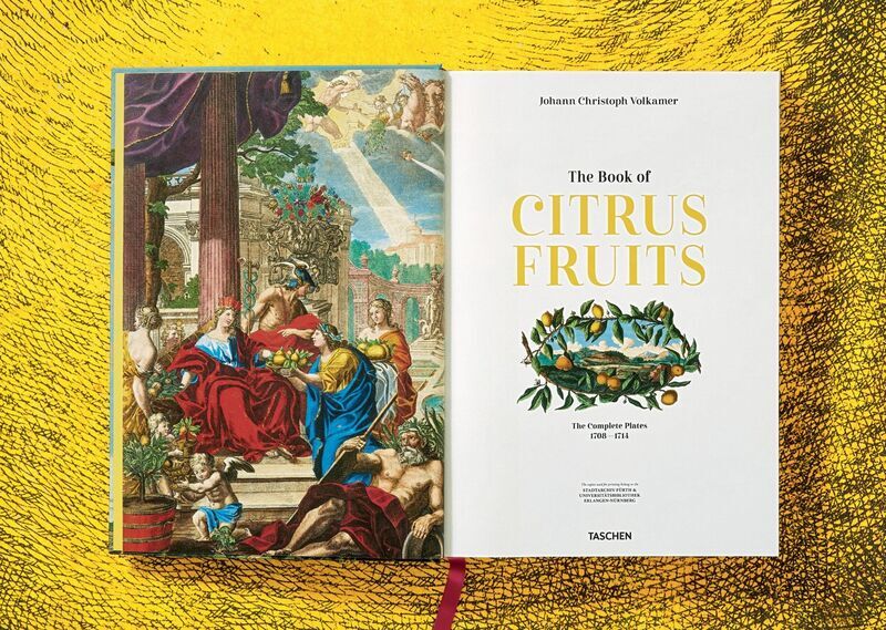 J. C. Volkamer. The Book of Citrus Fruits | Weiß, image 2 of 4