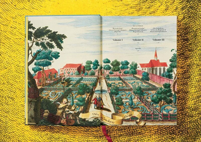 J. C. Volkamer. The Book of Citrus Fruits | Weiß, image 3 of 4