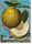 J. C. Volkamer. The Book of Citrus Fruits | white, thumbnail 1 of 5