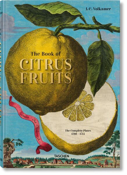J. C. Volkamer. The Book of Citrus Fruits | white, image 1 of 5