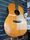 James Goodall Rosewood Standard 1987 Gloss Natural Hand-Made Acoustic Guitar | Gloss Natural, thumbnail 3 of 5