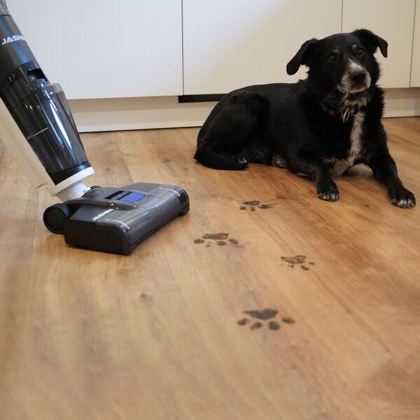 JASHEN F12 Wet/dry vacuum cleaner with self-cleaning function | black/white 5