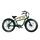 Jeep Cruise E-Bike CR 7004 (2022) | grün/beige | 26" | 46 cm | 100 - 500 km thumbnail 1/5