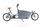 Johnny Loco Twin Cruiser (2022) | Tiefeinsteiger | grau | 20" | 50 cm | 100 - 500 km thumbnail 1/5