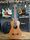 Journey OC520 Cedar Classical Electro-Acoustic Collapsible Travel Guitar | Original, thumbnail 1 of 5