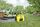 Kärcher BP 4 Garden Set Pompa da giardino | giallo/nero thumbnail 2/2