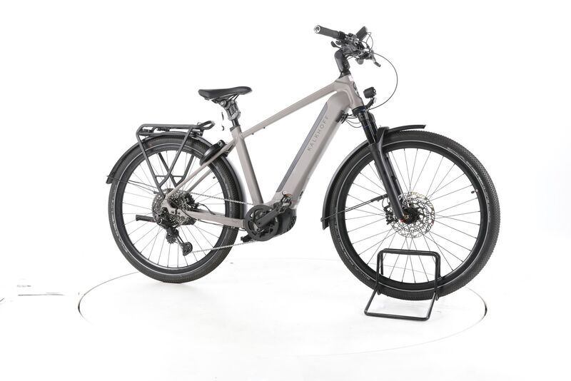 Kalkhoff ENTICE 5.B ADVANCE+ 2021 | beige | 29" | 48 cm | < 500 km, image 1 of 4