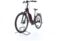 Kalkhoff Image 1.B Advance (2022) | Tiefeinsteiger | braun | 28" | 40 cm | XS | 100 - 500 km | 500 Wh thumbnail 2/5