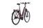 Kalkhoff Image 5.B Move (2020) | Ingresso basso | rosso | 28" | 58 cm | 1500 - 2000 km thumbnail 2/5
