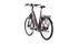 Kalkhoff Image 5.B Move (2020) | Ingresso basso | rosso | 28" | 58 cm | 1500 - 2000 km thumbnail 3/5