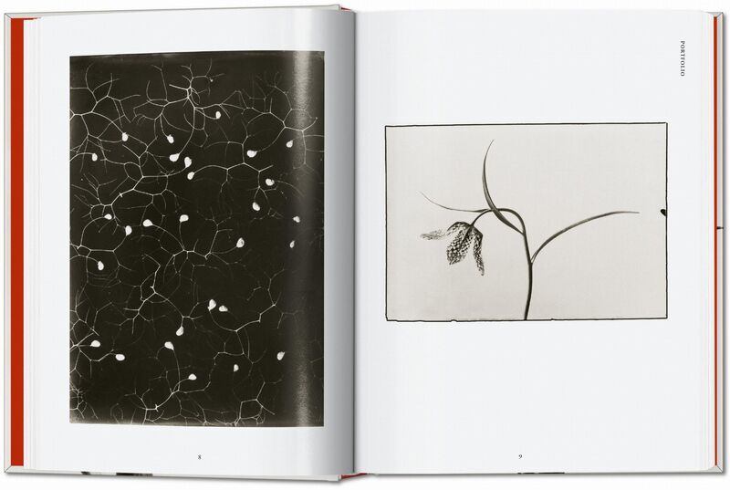 Karl Blossfeldt. The Complete Published Work. 45th Ed. | Bijela, image 2 of 4