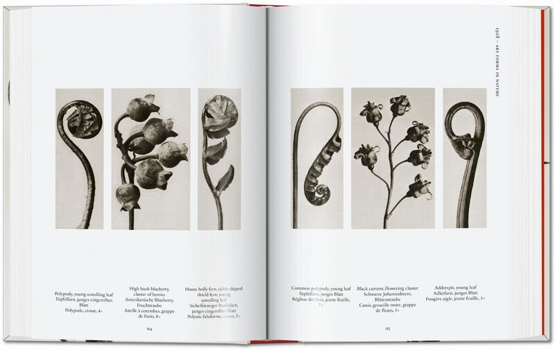 Karl Blossfeldt. The Complete Published Work. 45th Ed. | Bijela, image 4 of 4