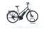 Katarga Triumph E-Bird Plus (2022) | Trapez | grau/grün | 28" | 55 cm | 500 - 1000 km thumbnail 1/5