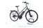 Katarga Triumph E-Bird Plus (2022) | Trapez | grau/grün | 28" | 55 cm | 500 - 1000 km thumbnail 2/5