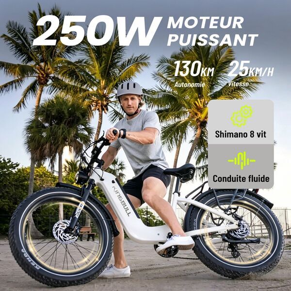 Kingbull Verve 2026 | white | 20" | S | < 500 km, image 3 of 4