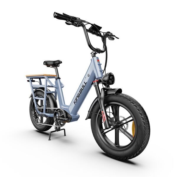 Kingbull Voyager 2.0 2026 | grey | 20" | S | < 500 km, image 1 of 4