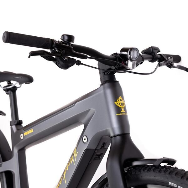 Kneissl Design Carbon Urban Prestige (2022) | Diamond | black | 29" | 52 cm | 500 - 3000 km 2