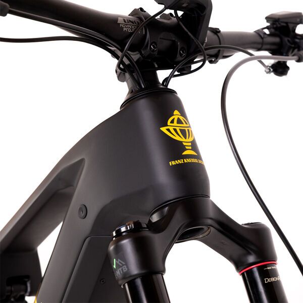 Kneissl Design World Champion 29 (2023) | Diamant | schwarz | 29" | 40 cm | < 500 km 3