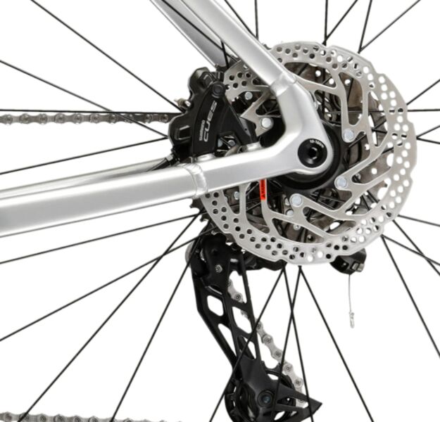 Kross Alta 2.0 (2026) | dimants | sudrabs | 52 cm | S 4