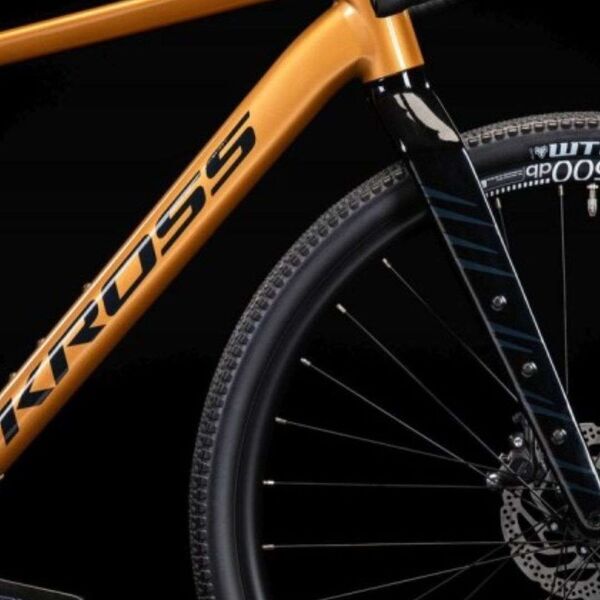 Kross Esker 5.0 (2025) | Diamant | gold | L | 56 cm 2