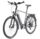 KTM Macina Style 710 (2024) | diamond | grey | 28" | 60 cm | XL | < 500 km, thumbnail 1 of 4