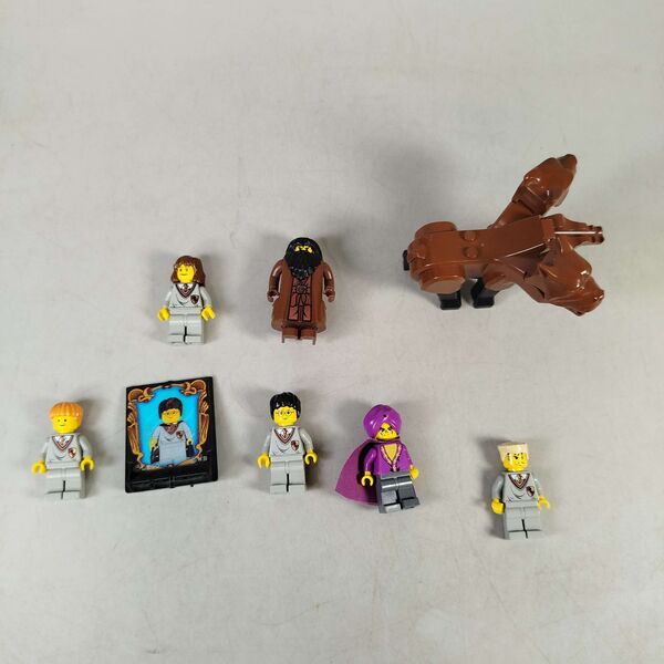 LEGO Bundle Harry Potter Set von 8 Minifiguren, Hund & Fliesee | mehrfarbig, image 1 of 4