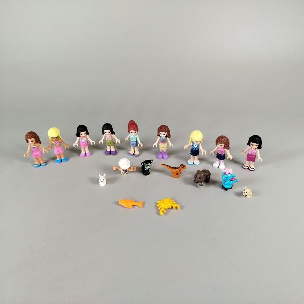 LEGO Friends Minifiguren Set von 17 | mehrfarbig 3