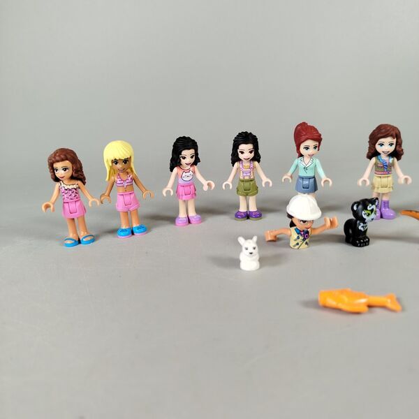 LEGO Friends Minifiguren Set von 17 | mehrfarbig 4