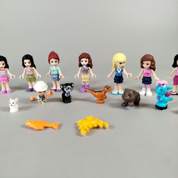LEGO Friends Minifiguren Set von 17 | mehrfarbig 5
