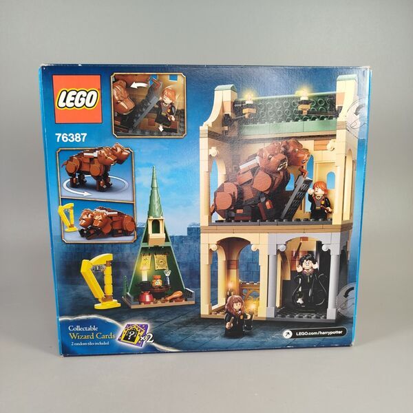 LEGO Harry Potter Hogwarts Fluffy Encounter 76387 | multicolored 2