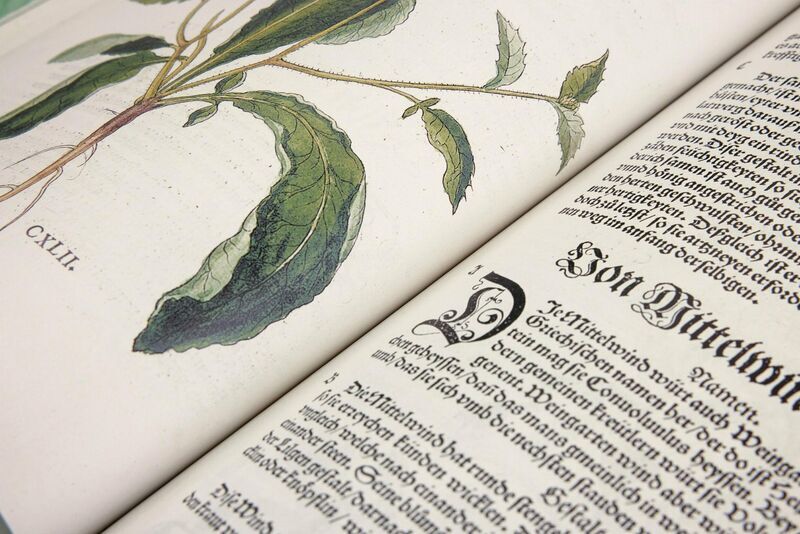 Leonhart fox. Das New herb book | white, image 4 of 4