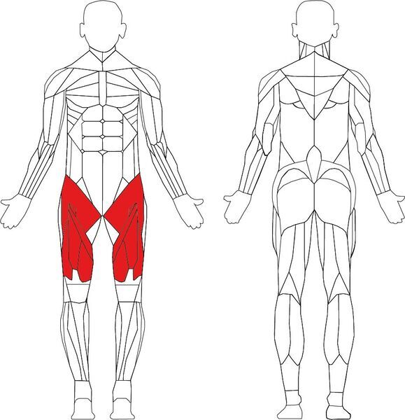Life Fitness Signature Leg Extension | srebrna/crvena, image 2 of 3