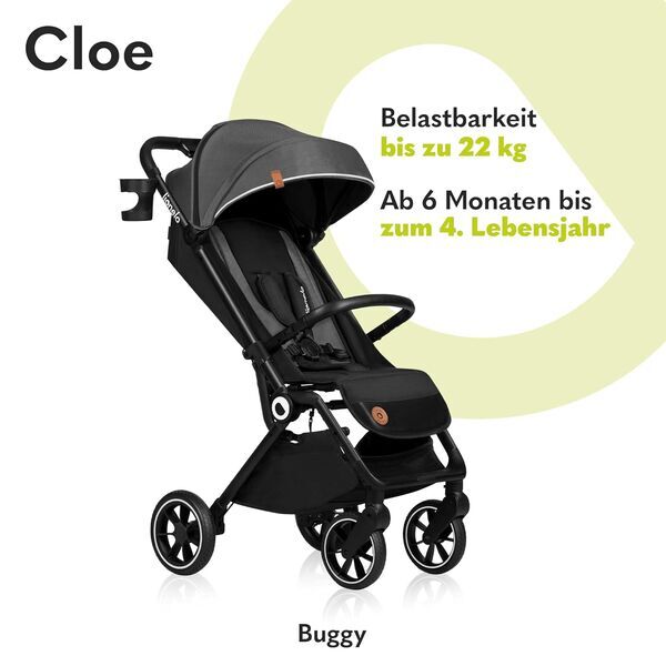 Lionelo Cloe Kinderwagen | grå 2