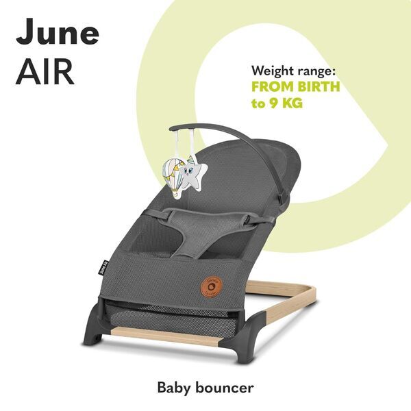 Lionelo June Babywippe | grau 2