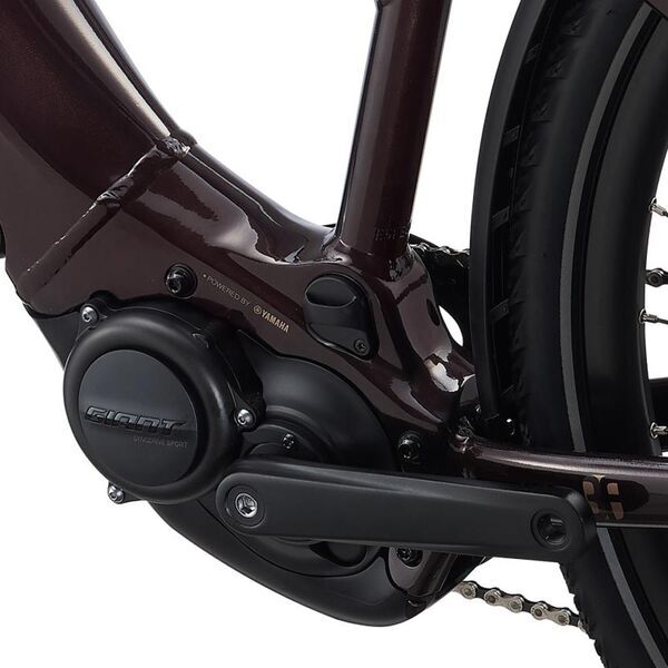 Liv Amiti-E+ 2 (2022) | Trapezio | marrone | 28" | 43 cm | < 500 km 2