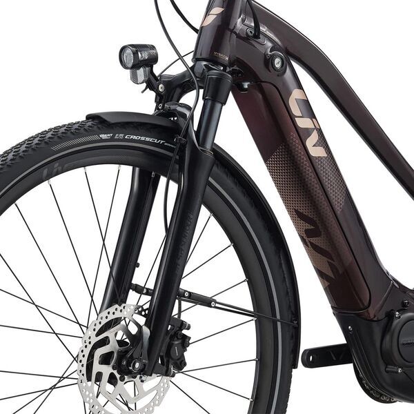 Liv Amiti-E+ 2 (2022) | Trapezio | marrone | 28" | 43 cm | < 500 km 3