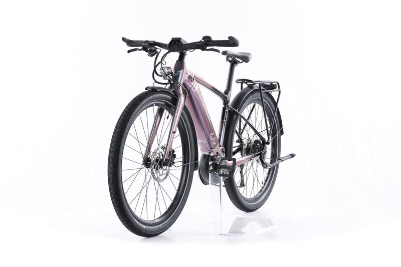 Liv Thrive E+ EX (2021) | Diamond | purple | 27.5" | 43 cm | S | 500 - 1000 km 5