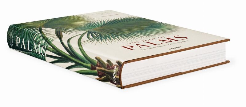 Martius. The Book of Palms | Weiß, image 1 of 4