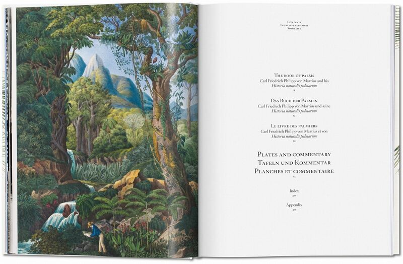 Martius. The Book of Palms | Weiß, image 2 of 4