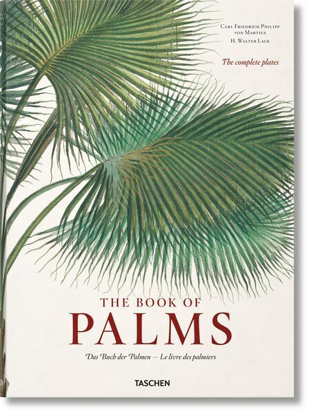 Martius. The Book of Palms | white, image 1 of 5