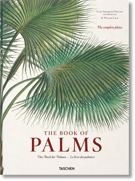 Martius. The Book of Palms