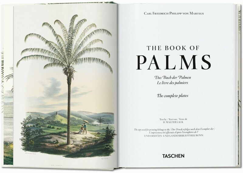 Martius. The Book of Palms. 45th Ed. | Weiß, image 1 of 4